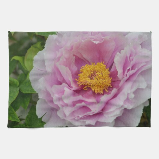 Pink Peony Theedoek (Horizontaal)
