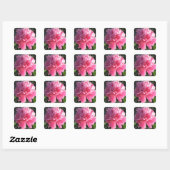 Pink Peony Vierkante Sticker (Vel)