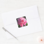 Pink Peony Vierkante Sticker (Envelop)