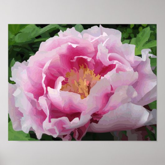 Pink Peony Waterverf Fine Floral Poster (Voorkant)