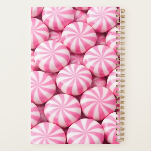 Pink Peppermint Planner Cover (Dos)