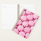 Pink Peppermint Planner Cover (Display)