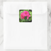 Pink Periwinkle - Stickers Garden Party (Sac)