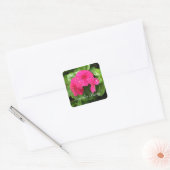 Pink Periwinkle - Stickers Garden Party (Enveloppe)