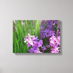 Pink Phlox en Grass Summer Floral Canvas Afdruk