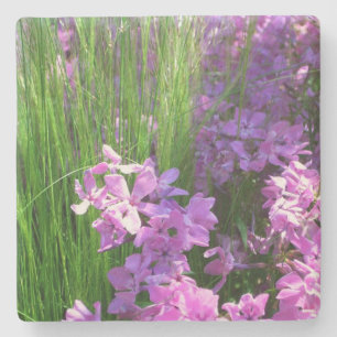 Pink Phlox en Grass Summer Floral Stenen Onderzetter