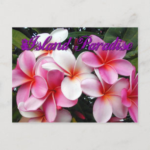 Pink Plumeria Hawaiian Briefkaart