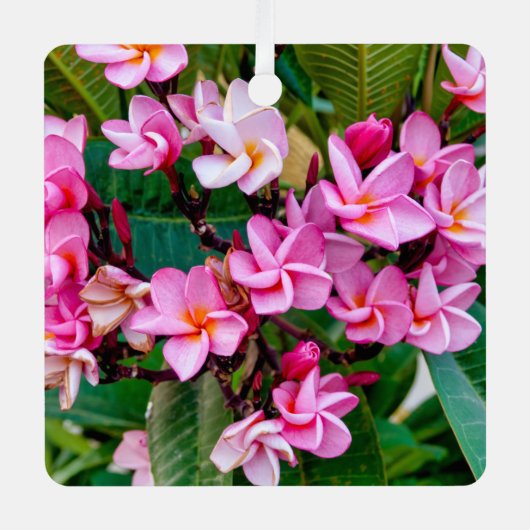 Pink Plumeria Metalen Ornament (Voorkant)