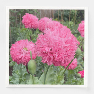 Pink Pom Pom Poppies Servet