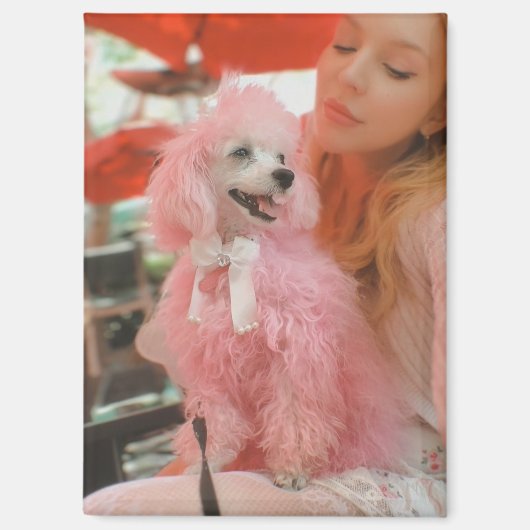 Pink poodle magnet, pink poodle gift magnet (Recto)