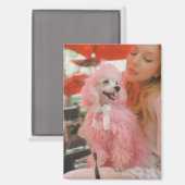 Pink poodle magnet, pink poodle gift magnet magneet (Voorkant / Achterkant)