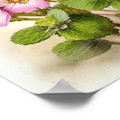 Pink Primrose Flowers Art Imprimer Poster (Coin)
