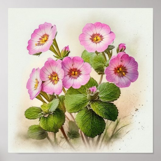 Pink Primrose Flowers Art Imprimer Poster (Devant)