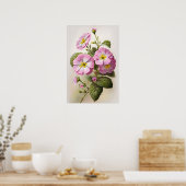 Pink Primrose Flowers Art Imprimer Poster (Cuisine)