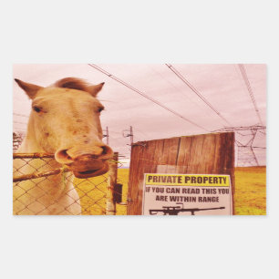 Pink Private Property Horse Rechthoekige Sticker