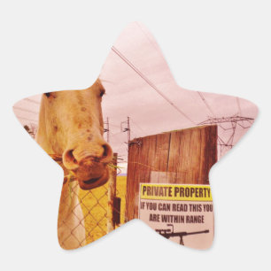 Pink Private Property Horse Ster Sticker