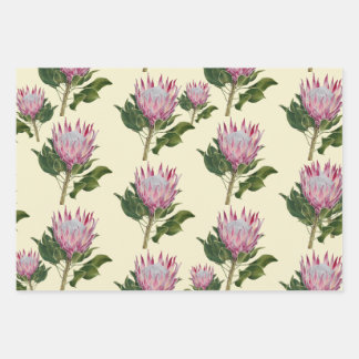 Pink Protea Cadeaupapier Vellen 3 Sets