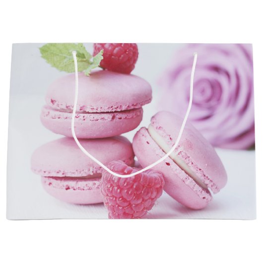 Pink Raspberry Macarons French Pastry Foto Groot Cadeauzakje (Voorkant)