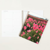 Pink & Red Tulips à Field, Oregon (Devant avec enveloppe)