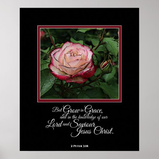 Pink Rose Bible Verset Oeuvre Mur Art / Poster (Devant)