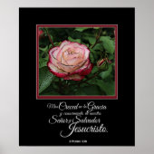 Pink Rose Espagnol Bible Verset Artwork Poster (Devant)