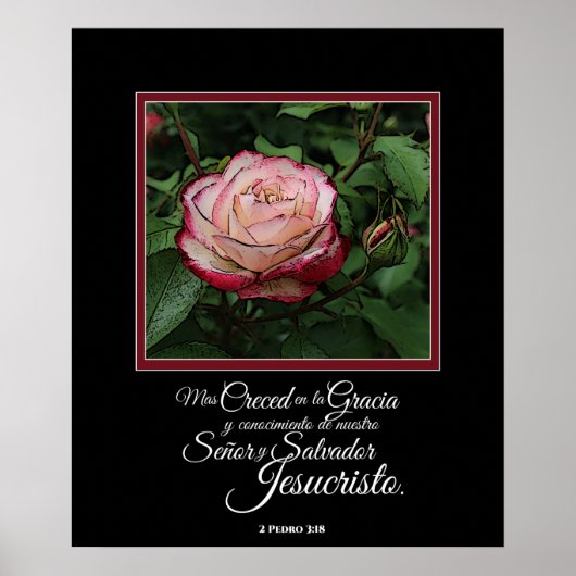 Pink Rose Espagnol Bible Verset Artwork Poster (Devant)