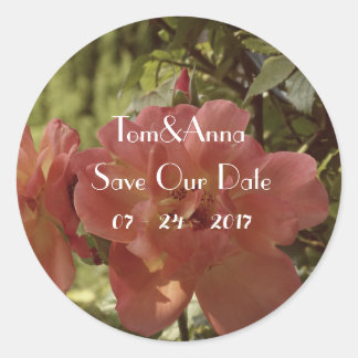 Pink Rose fotografie Save the date Sticker