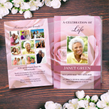 Pink Rose Funeral Program Sjabloon