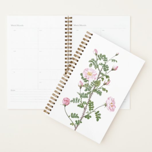 Pink Rose Girly 2023 Planner (Devant avec enveloppe)