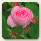 "PINK ROSE" ONDERZETTERS (SET VAN 6) (Voorkant)