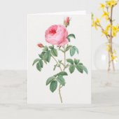 Pink Rose Rose Pierre-Joseph Redoute Carte de voeu (Fleur jaune)
