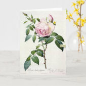 Pink Rose Rose Pierre-Joseph Redoute Carte de voeu (Fleur jaune)