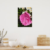 Pink Rose Roses Flower Garden L'Ouche Cabbage Poster (Keuken)