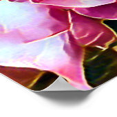 PINK ROSES POSTER (Hoek)