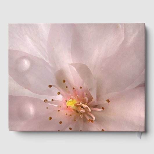 Pink Sakura Flower Anniversaire de la fête Livre d (Verso)