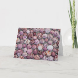 Pink Sea Shell Folded Thank You Card Bedankkaart