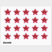 Pink Star Ster Sticker (Vel)