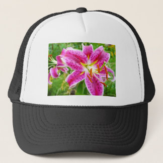 Pink Stargazer Lilly Trucker Pet