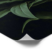 Pink Stargazer Lily Flowers Art Imprimer Poster (Coin)