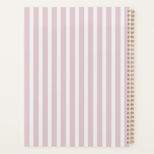 Pink Stripes and Bow, Elegant Daily Planner (Dos)