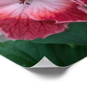 Pink Summer Flowers Photo Nature Poster (Coin)