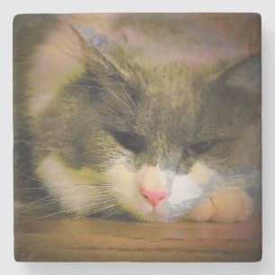 Pink the Cat Sullen Mood Sad Kat Stenen Onderzetter