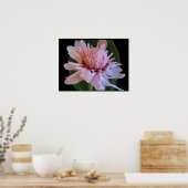 Pink Torch Ginger Hawaii Exotic Poster Prints (Cuisine)