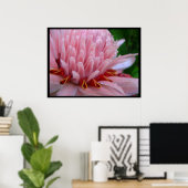 Pink Torche Ginger Bloom Exotic Poster Imprimer (Bureau à domicile)