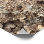 PINK TOY POODLE AT THE BEACH POSTER (Hoek)