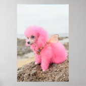PINK TOY POODLE AT THE BEACH POSTER (Voorkant)