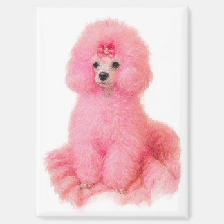 pink toy poodle magnet, pink poodle, refrigerator magneet