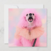 Pink Toy Poodle, Mozzarella The Poodle, card Feestdagenkaart (Voorkant)