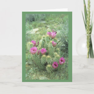 Pink Trill Desert Cactus Salutation ou cartes de n