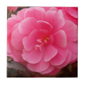 Pink Tuberous Begonia Floral Tegeltje (Voorkant)